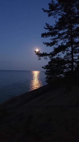 a view of the ocean at night with a street light at Kuru Guest House in Kuru
