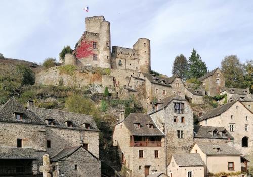 a castle on top of a hill with houses at Le Valadin in Valady