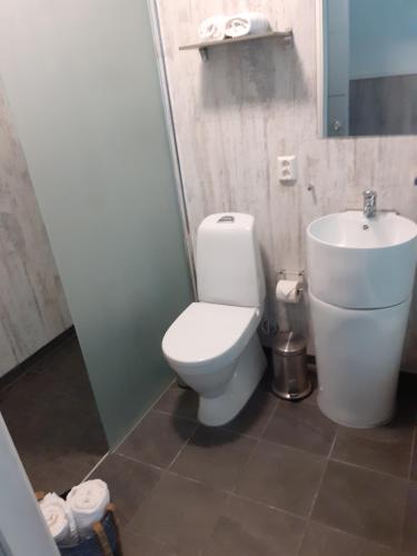 a bathroom with a toilet and a sink at Adventure hotel & GuestHouse Eidfjord NEW in Eidfjord