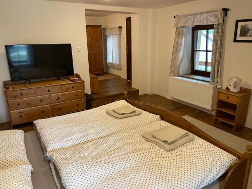 a living room with two beds and a flat screen tv at Apartmány Rožmberk in Rožmberk nad Vltavou