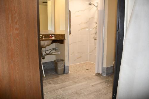 Ένα μπάνιο στο Twin Cities Inn, Mounds View