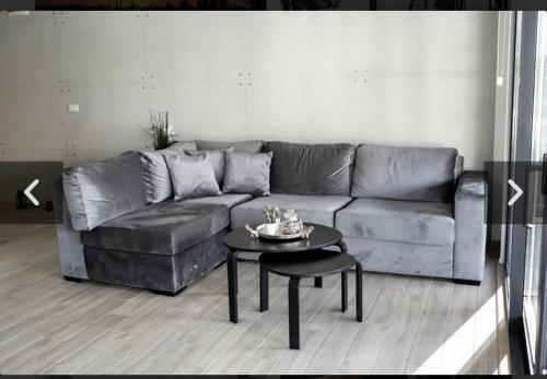 a living room with a gray couch and a table at ADA MOMENT Splav- kuca na reci Beograd- Floating House on SAVA RIVER ,Belgrade in Belgrade