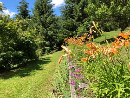 a garden with flowers and trees on a lawn at Le Primule in Piedilago