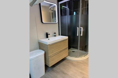 een badkamer met een wastafel en een douche bij Sans-soucis en plein coeur d'Hautvillers in Hautvillers