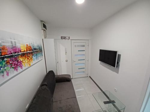 TV a/nebo společenská místnost v ubytování IN the CENTAR APARTMENT