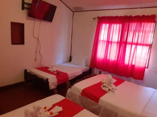 Cabinas coco azul Guanacaste – Photos 3