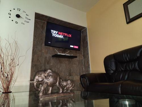 a tv sitting on top of a stone fireplace at The Mango Lodge in Kingston