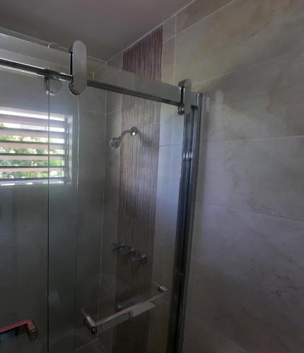 a shower with a glass door in a bathroom at The Mango Lodge in Kingston