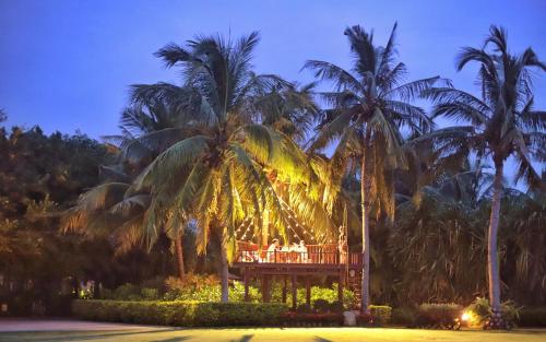 Banyan Tree Sanyaにある庭
