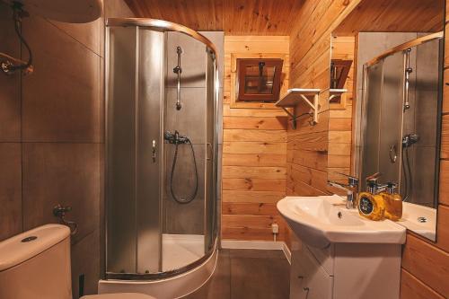 a bathroom with a shower and a sink at Leśniczówka-Wdzydze Pe eL in Wdzydze Kiszewskie