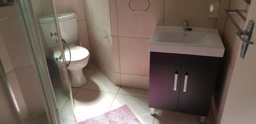 La salle de bains est pourvue d'un lavabo et de toilettes. dans l'établissement Marina Glen 12, à Ramsgate