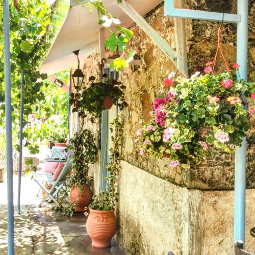 a group of potted plants hanging on a wall at Holiday House Prodromos in Prodromos