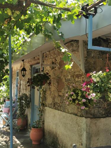 a building with potted plants on the side of it at Holiday House Prodromos in Prodromos