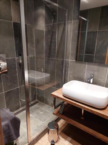 une salle de bain avec lavabo et douche dans l'établissement Le grand cerf le Pelvou, à Vars