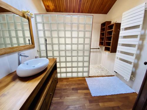 ビスカロッスにある77 RUE JEAN RAMEAU -059のバスルーム(白いシンク、シャワー付)