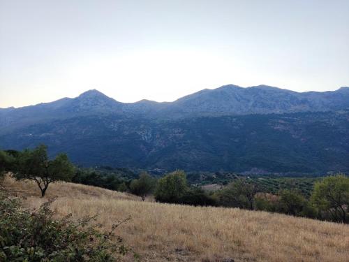 a view of a mountain range from a field at CASA EL CANTÓN in Jimera de Líbar