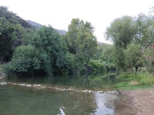 a river with trees and rocks in the water at CASA EL CANTÓN in Jimera de Líbar