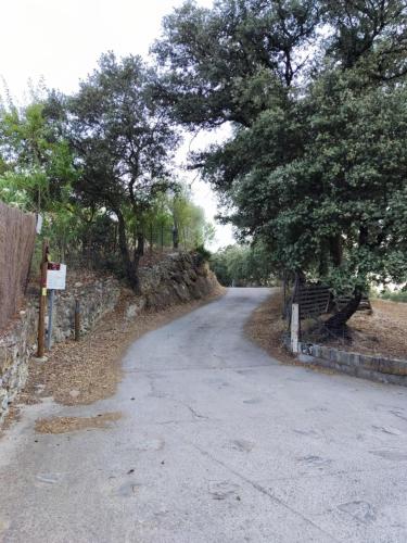 an empty road with trees and a stone wall at CASA EL CANTÓN in Jimera de Líbar