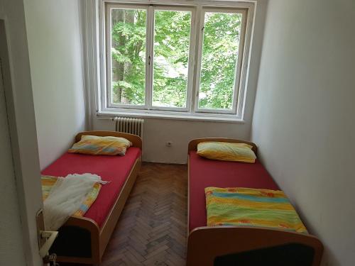 2 camas en una habitación con ventana en Old Hotel Borašnica en Konjic