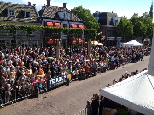 a large crowd of people watching a parade at Bed & Breakfast De Vier Seizoenen in Lisse
