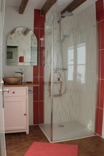une salle de bain avec une douche avec une porte vitrée dans l'établissement Gîte des Belles Fontaines, à Neung-sur-Beuvron