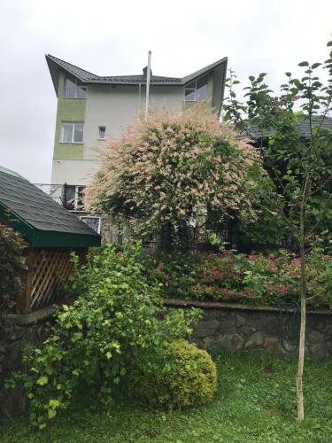 ЯрДана – Photos 3