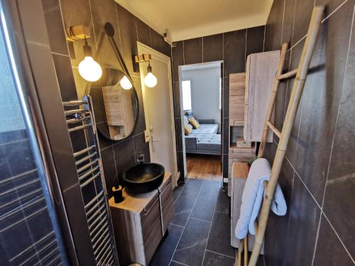 une salle de bain avec un lavabo et un miroir dans l'établissement Le Globe-trotter - Les Maisons de Madeleine, à Nantes