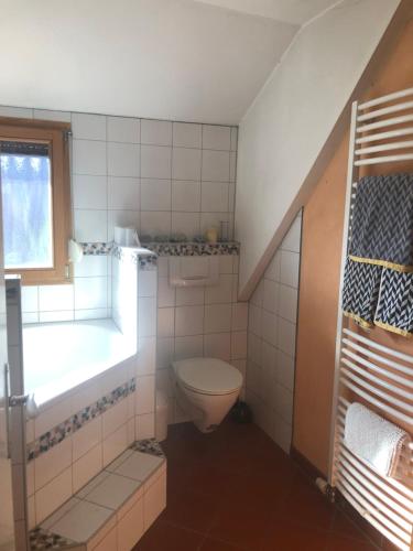 a bathroom with a toilet and a sink and a window at Ferien- und Messeappartement Schwaig in Schwaig bei Nürnberg