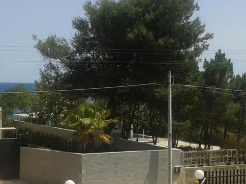 a wall with a palm tree behind a fence at Villa Midolo in Noto Marina