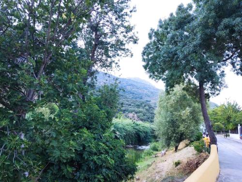 a road next to a river with trees and a mountain at CASA EL CANTÓN in Jimera de Líbar