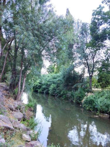 a river with trees on the side of it at CASA EL CANTÓN in Jimera de Líbar