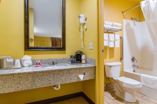 W łazience znajduje się umywalka, toaleta i lustro. w obiekcie Econo Lodge w mieście Kingsland