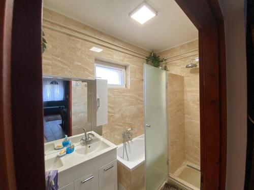 a bathroom with a shower and a sink and a tub at Tiszavirág Vendégház in Abádszalók