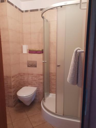 ジブヌベクにあるWilla Etnaのトイレとシャワー付きのバスルーム