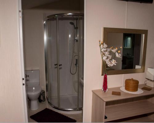 ein Bad mit einer Dusche und einem WC in der Unterkunft Squirrel Lodge in Clearwell