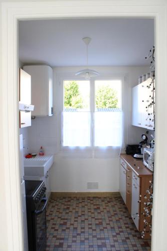 - une cuisine avec une fenêtre, un évier et une cuisinière dans l'établissement L'appartement d'Alexander, à Troyes