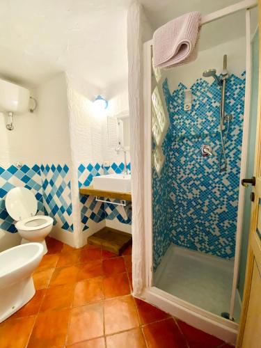 a blue and white bathroom with a shower and a toilet at Vign'Alva in Castelsardo