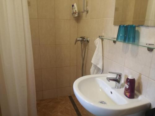 ein Bad mit einem Waschbecken und einer Dusche in der Unterkunft City Centre Budapest in Budapest