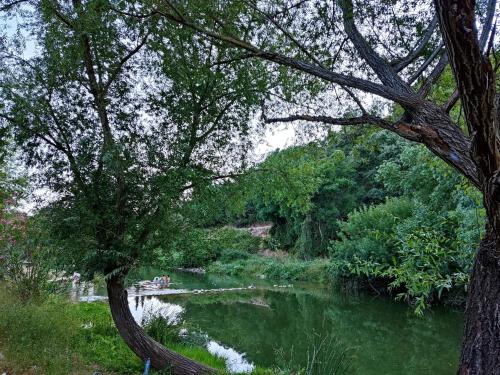a view of a river with trees next to it at CASA EL CANTÓN in Jimera de Líbar
