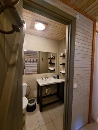 a bathroom with a sink and a toilet and a mirror at Rasos Vila in Palanga
