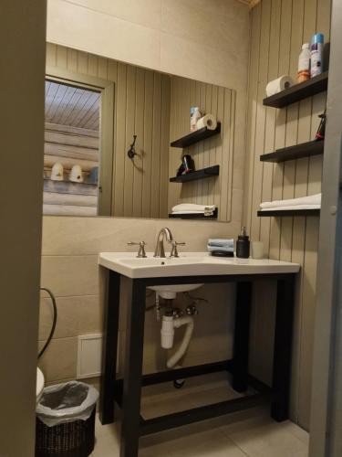 a bathroom with a sink and a mirror at Rasos Vila in Palanga