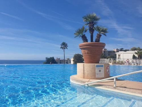 2 palmiers dans un pot à côté d'une piscine dans l'établissement Cannes & More, à Cannes