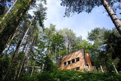 a house in the woods with trees at Bain de forêt - Lodges Cosy & Spa in Neufchâtel-Hardelot