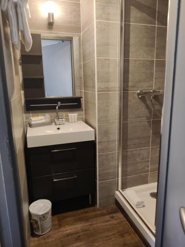 a bathroom with a sink and a shower at Atipik Hôtel in Annecy