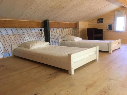 two beds in a room with wooden walls at Campagne et océan in Ahetze