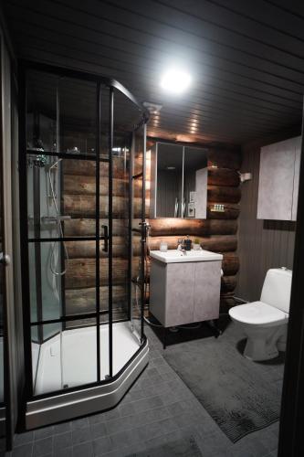 a bathroom with a shower and a sink and a toilet at RukaTupasvilla in Ruka