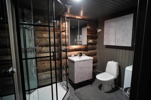 a bathroom with a toilet and a sink and a shower at RukaTupasvilla in Ruka