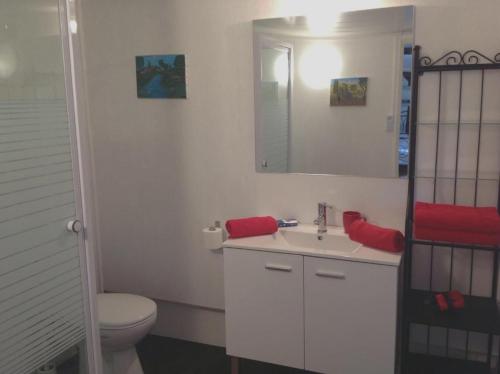 a bathroom with a toilet and a sink and a mirror at Maison charmante à Souvigny-en-Sologne avec jardin in Souvigny-en-Sologne