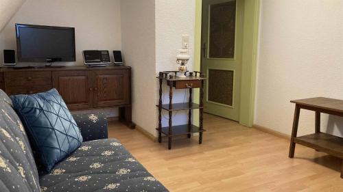a living room with a couch and a television at Pension zur 23 in Kurort Altenberg