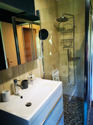 une salle de bain avec un lavabo blanc et une douche dans l'établissement Château Cantelaube, à Saint-Émilion